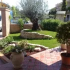 Immagine 2 azienda VERDEGGIANDO CREAZIONE E CURA DEL VERDE IMPRESA DI GIARDINAGGIO - EMAIL: [EMAIL PROTECTED] Vivaio in Martinsicuro