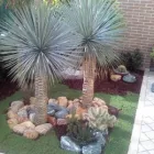 Immagine 4 azienda VERDEGGIANDO CREAZIONE E CURA DEL VERDE IMPRESA DI GIARDINAGGIO - EMAIL: [EMAIL PROTECTED] Vivaio in Martinsicuro