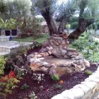 Immagine 5 azienda VERDEGGIANDO CREAZIONE E CURA DEL VERDE IMPRESA DI GIARDINAGGIO - EMAIL: [EMAIL PROTECTED] Vivaio in Martinsicuro