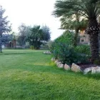 Immagine 9 azienda VERDEGGIANDO CREAZIONE E CURA DEL VERDE IMPRESA DI GIARDINAGGIO - EMAIL: [EMAIL PROTECTED] Vivaio in Martinsicuro