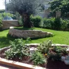 Immagine 10 azienda VERDEGGIANDO CREAZIONE E CURA DEL VERDE IMPRESA DI GIARDINAGGIO - EMAIL: [EMAIL PROTECTED] Vivaio in Martinsicuro