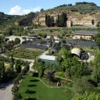 Immagine 8 azienda VIVAI MASSARRONI Vivaio in Perugia