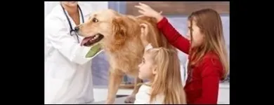 Immagine 3 azienda AMBULATORIO VETERINARIO BARZONI ELISA Veterinario in Marghera VE