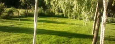 Immagine 8 azienda EDEN Vivaio in Cento FE