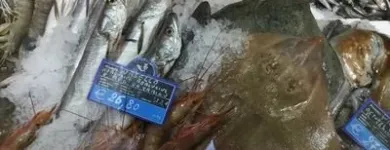 Immagine 1 azienda ELIO FISH S.R.L. Shopping e acquisti in Spoleto PG