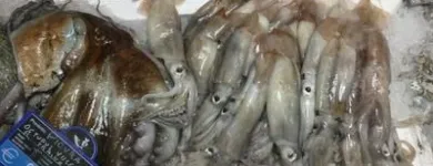 Immagine 3 azienda ELIO FISH S.R.L. Shopping e acquisti in Spoleto PG