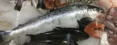 Immagine 4 azienda ELIO FISH S.R.L. Shopping e acquisti in Spoleto PG
