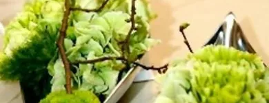 Immagine 1 azienda FIORERIA ANAPHALIS CENTERFLORA Wedding planner organizzazione matrimoni in Cento FE