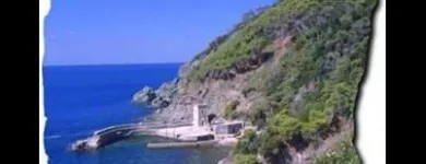 Immagine 4 azienda PEGASO SOC. COOP. RL Traslochi in Livorno