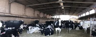 Immagine 5 azienda PODERE CA' NOVA - AZIENDA AGRICOLA CORRADINI GIORGIO Servizi agricoli in Modena