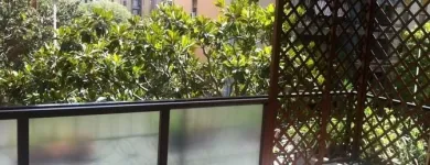Immagine 6 azienda SERRAMENTI E INFISSI SARRITZU Shopping e acquisti in Quartu Sant'elena CA