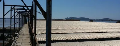 Immagine 8 azienda TECNICHE DI PONTEGGI Shopping e acquisti in Quartu Sant'elena CA