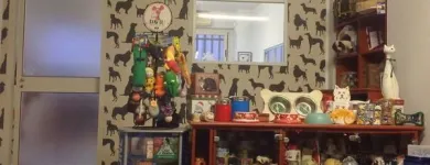 Immagine 3 azienda TOELETTATURA Servizi professionali in Cagliari
