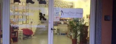 Immagine 5 azienda TOELETTATURA Servizi professionali in Cagliari