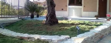 Immagine 3 azienda VERDEGGIANDO CREAZIONE E CURA DEL VERDE IMPRESA DI GIARDINAGGIO - EMAIL: [EMAIL PROTECTED] Vivaio in Martinsicuro