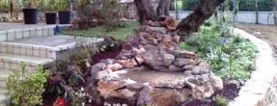 Immagine 5 azienda VERDEGGIANDO CREAZIONE E CURA DEL VERDE IMPRESA DI GIARDINAGGIO - EMAIL: [EMAIL PROTECTED] Vivaio in Martinsicuro