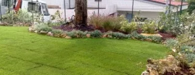 Immagine 7 azienda VERDEGGIANDO CREAZIONE E CURA DEL VERDE IMPRESA DI GIARDINAGGIO - EMAIL: [EMAIL PROTECTED] Vivaio in Martinsicuro