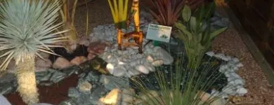 Immagine 8 azienda VERDEGGIANDO CREAZIONE E CURA DEL VERDE IMPRESA DI GIARDINAGGIO - EMAIL: [EMAIL PROTECTED] Vivaio in Martinsicuro