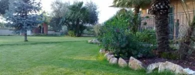 Immagine 9 azienda VERDEGGIANDO CREAZIONE E CURA DEL VERDE IMPRESA DI GIARDINAGGIO - EMAIL: [EMAIL PROTECTED] Vivaio in Martinsicuro