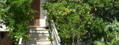 Immagine 4 azienda VILLA ROSA MEDIAZIONI Servizi legali e finanziari in Martinsicuro