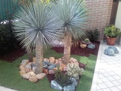 Immagine 4 azienda VERDEGGIANDO CREAZIONE E CURA DEL VERDE IMPRESA DI GIARDINAGGIO - EMAIL: [EMAIL PROTECTED]