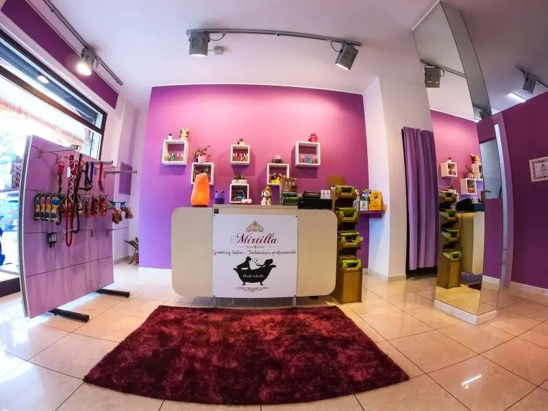 Immagine 7 azienda MIRTILLA GROOMING SALON QUARTU SANT'ELENA