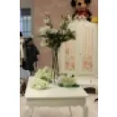 COCCO & DRILLI Shopping e acquisti in Grottaferrata RM