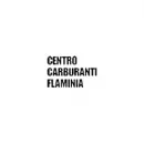 CENTRO CARBURANTI FLAMINIA Shopping e acquisti in Spoleto PG