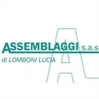 ASSEMBLAGGI